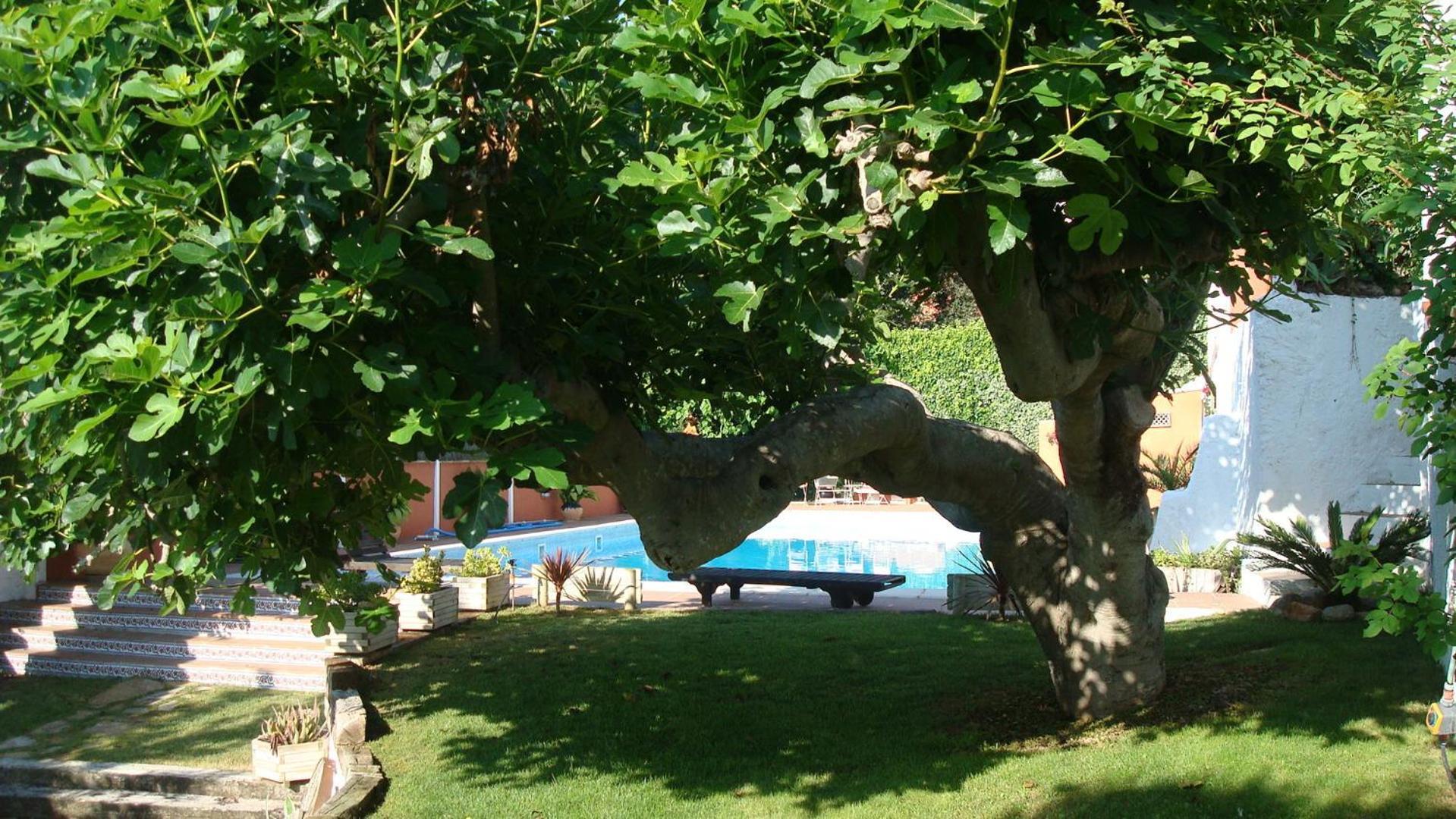 Comarquinal Bioresort Penedes San Quintín de Mediona Buitenkant foto