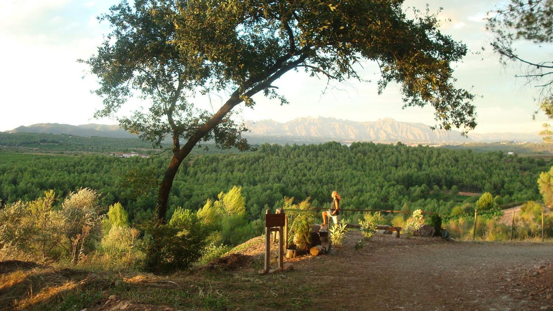 Comarquinal Bioresort Penedes San Quintín de Mediona Buitenkant foto